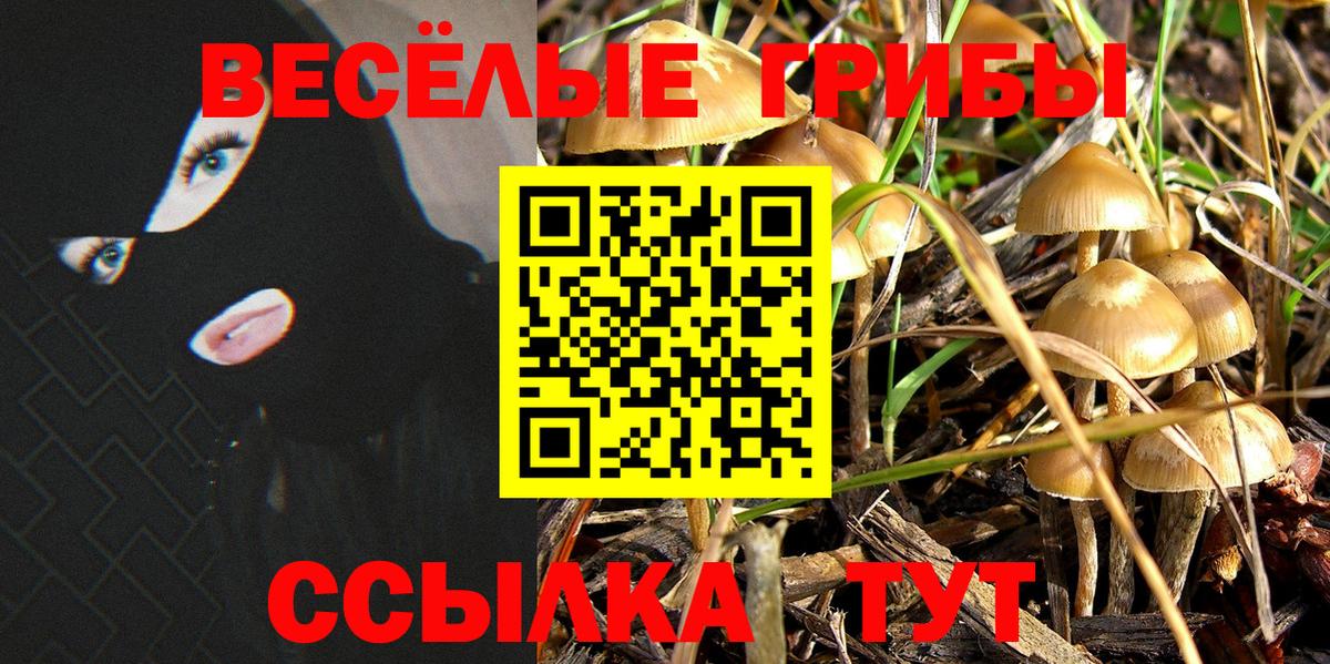 Котельники  Псилоцибиновые грибы мухоморы  Галлюциногенные грибы Cubensis  Вход с VPN 